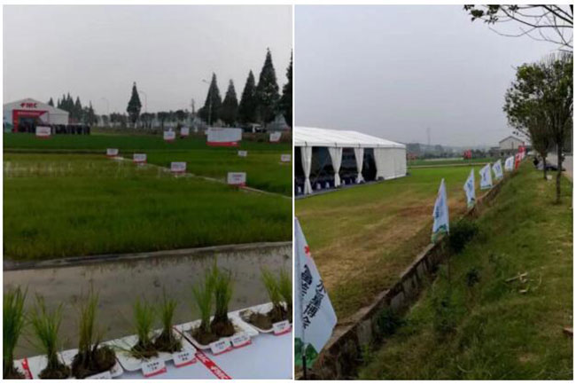 長沙展覽展示設計,商業(yè)空間設計,長沙五岳展覽服務有限公司 長沙展覽展示設計,商業(yè)空間設計,長沙五岳展覽服務有限公司